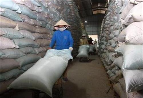 Từ ngày 20/2, VFA sẽ bắt đầu mua gạo tạm trữ