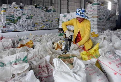 Philippines quyết định nhập thêm 200 tấn gạo của Việt Nam