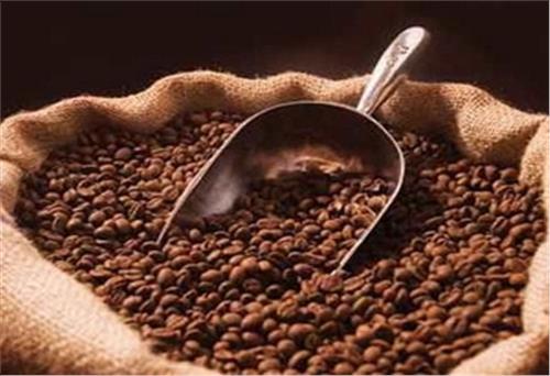 Càphê nhân Đắk Lắk xuất tới 62 nước, vùng lãnh thổ