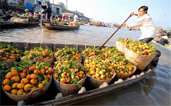 Môi trường kinh doanh chưa trật tự và công bằng