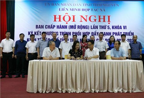 Đẩy mạnh phát triển kinh tế tập thể tỉnh Thái Nguyên giai đoạn 2022-2025