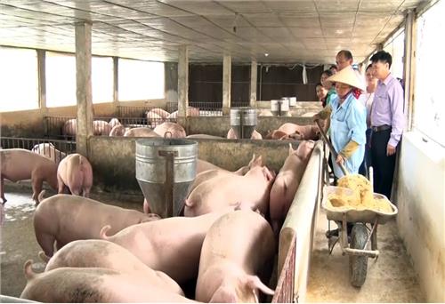 Tạo “lá chắn” bảo vệ vật nuôi 