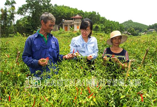 La Hiên phấn đấu thành xã nông thôn mới nâng cao