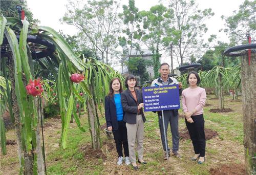 Mở ra cơ hội tăng thu nhập cho hội viên