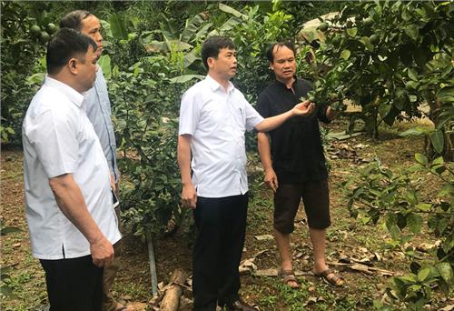 Đánh giá kết quả nhiệm vụ năm 2019, xây dựng phương hướng nhiệm kỳ tới