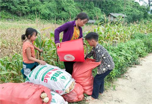 Về bản người Mông Lân Thùng