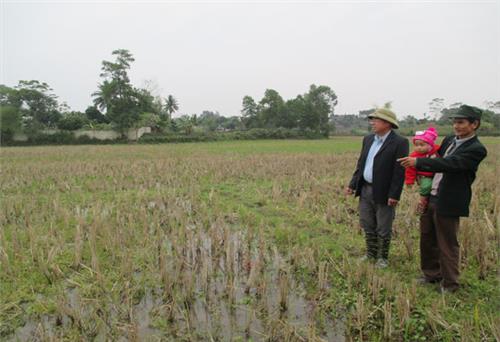 Người Bí thư Chi bộ nhiệt tình với việc chung