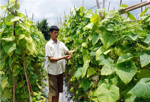 Tạo giá trị từ chuỗi liên kết