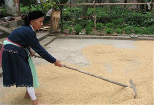 Khát vọng cho đời sau
