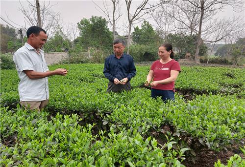 Một người công giáo mẫu mực