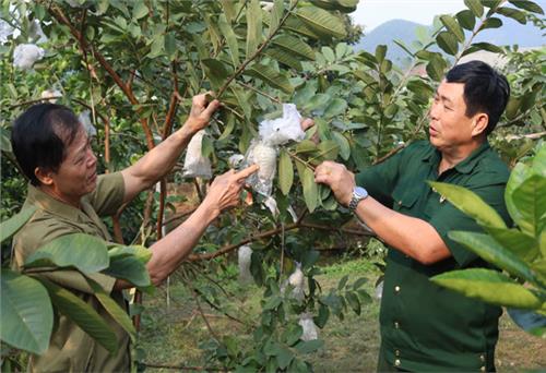 Những cựu chiến binh dám nghĩ, dám làm