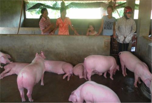 Người nữ cựu chiến binh năng động