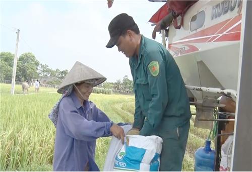 T.P Sông Công năng suất lúa đạt cao