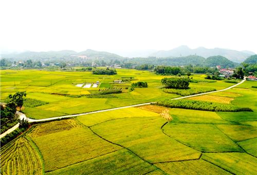 Tam Yên - Thế đã mạnh nhưng lực còn yếu (bài 1)