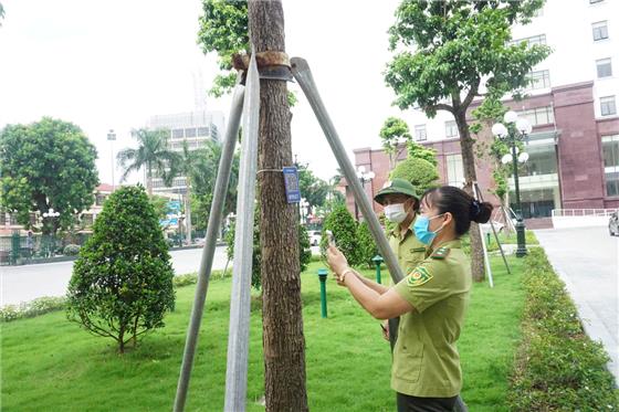 Tạo đột phá phát triển nông nghiệp, nông thôn