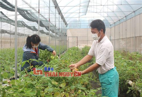 Lương Sơn vượt khó đi lên