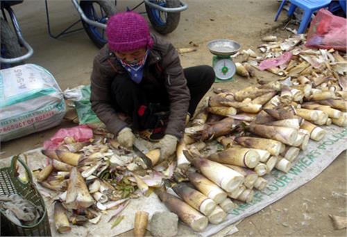 Măng đắng - món ăn làm say lòng người