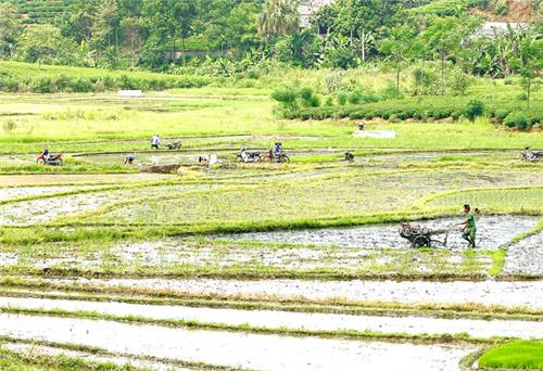 Ngành Nông nghiệp nỗ lực vượt khó