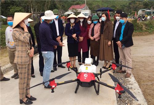 Phu Luong pilots drones in rice growing