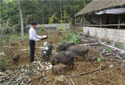 Phát huy hiệu quả vốn tín dụng chính sách