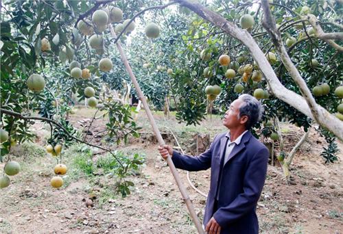 Tập trung nâng cao chất lượng các tiêu chí
