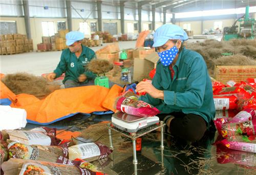Thái Nguyên có 2 sản phẩm OCOP đạt tiêu chuẩn 5 sao quốc gia