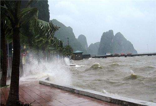 Chủ động ứng phó áp thấp nhiệt đới khả năng mạnh lên thành bão