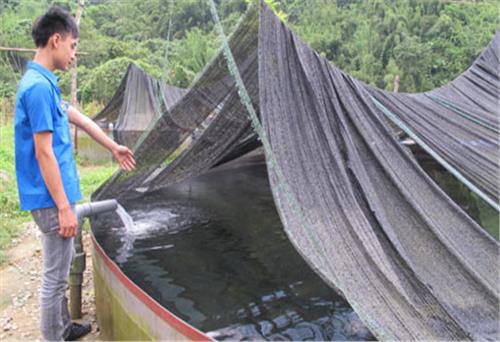 Sức trẻ làm giàu