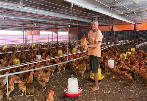 Dân Tiến nhân rộng các mô hình sản xuất