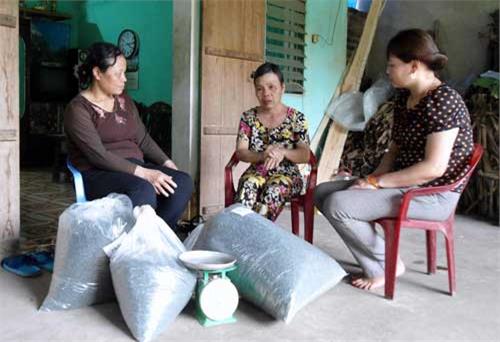 Gây quỹ tình thương