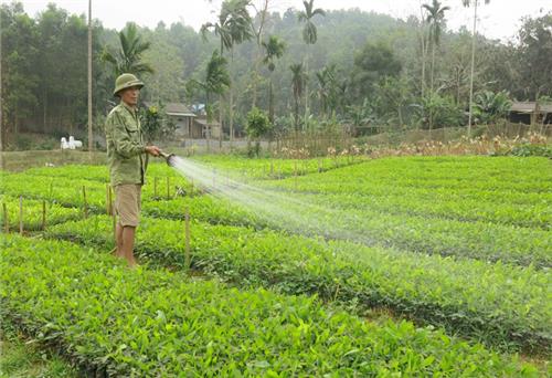 Mô hình nhỏ, sức lan tỏa lớn