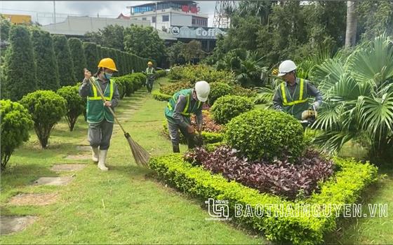 Hợp tác xã góp sức bảo vệ môi trường