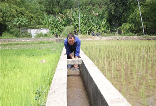 Người dân phải mua nước để sản xuất 