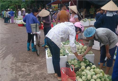 Thu về mùa quả chín thơm