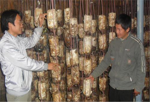 Mạnh dạn mở hướng  phát triển kinh tế