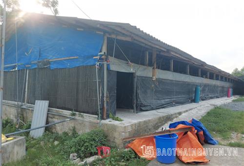 Đồng Hỷ: Một học sinh tử vong nghi do bị điện giật
