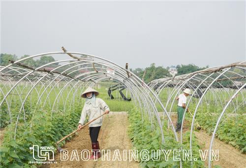 Nỗ lực đưa chính sách tín dụng đến người dân