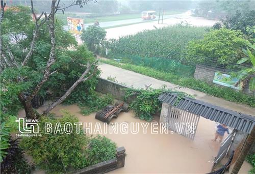Đại Từ: Nhiều khu vực ngập sâu do mưa lớn