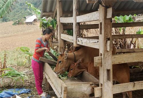 Ngày mới ở Phương Giao