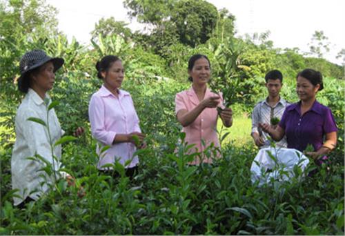 Tiếp sức cho người nghèo vươn lên