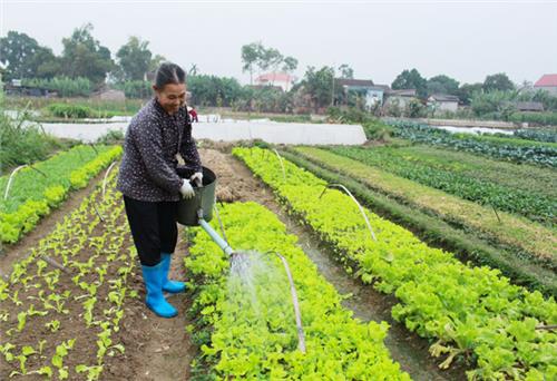 Phú Bình: Lãnh đạo thực hiện tốt các nhiệm vụ trọng tâm