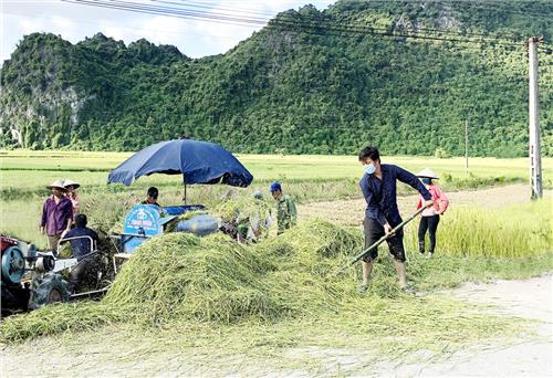 Ổn định đời sống nhờ hợp tác sản xuất