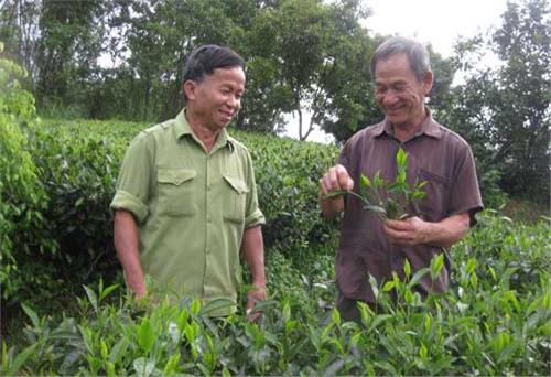 Người thương binh năng động