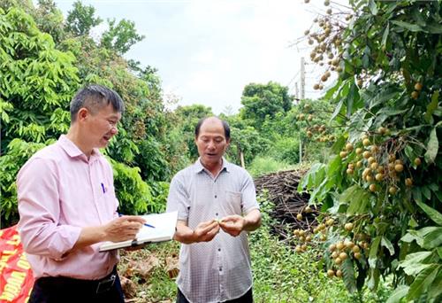 “Khát” nguồn vốn cho vay giải quyết việc làm