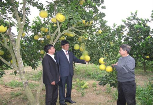 Người truyền lửa cho phong trào xây dựng nông thôn mới ở Đồng Liên