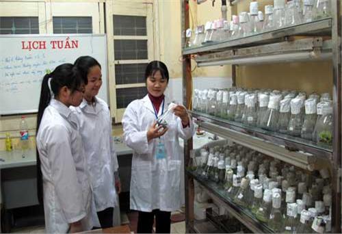 Chuyện về nữ Phó Giáo sư trẻ nhất Đại học Thái Nguyên