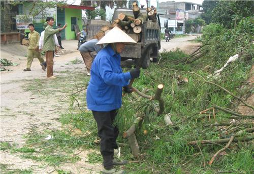 Giải phóng mặt bằng phục vụ Festival Trà Quốc tế