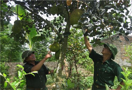              Những cựu chiến binh giàu nghị lực