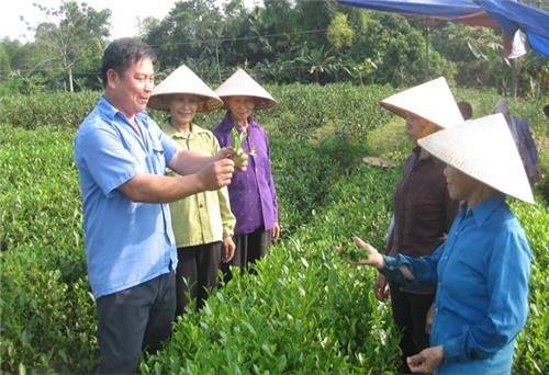   Những người “ôm rơm” trân quý