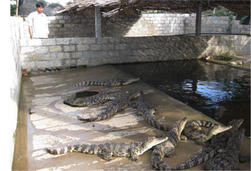 Một nông dân có chí làm giàu
